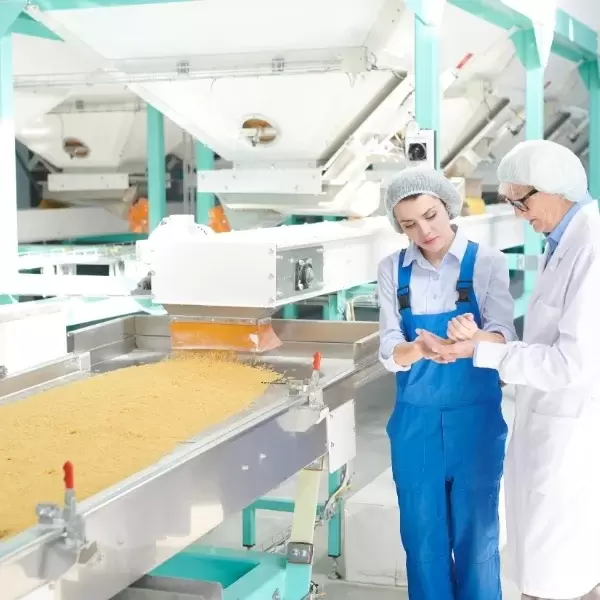 What is GMP Consultancy?
Good Manufacturing