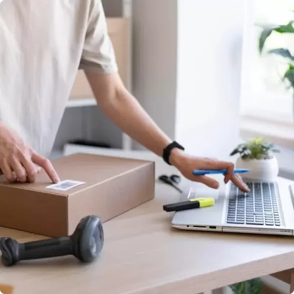 What is Export Content Consultancy?